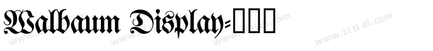 Walbaum Display字体转换